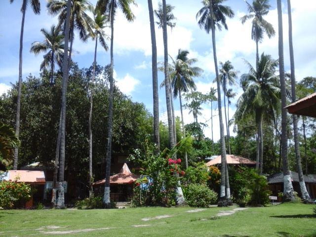 Punta Del Sol Araceli Beach Resort Самал Экстерьер фото